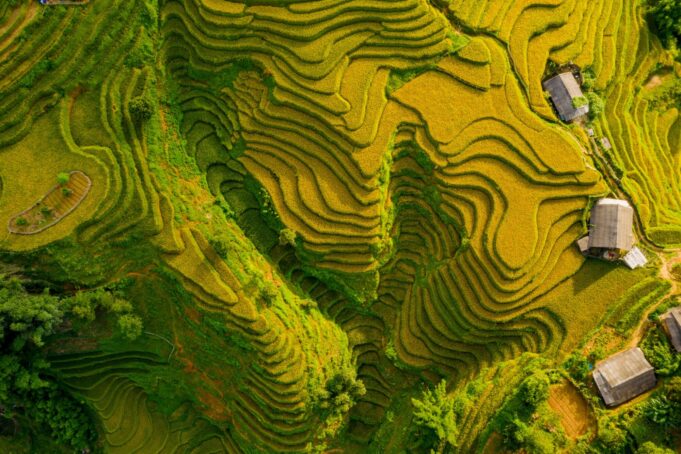 4D3N TRAIN TOUR: HANOI-SAPA
