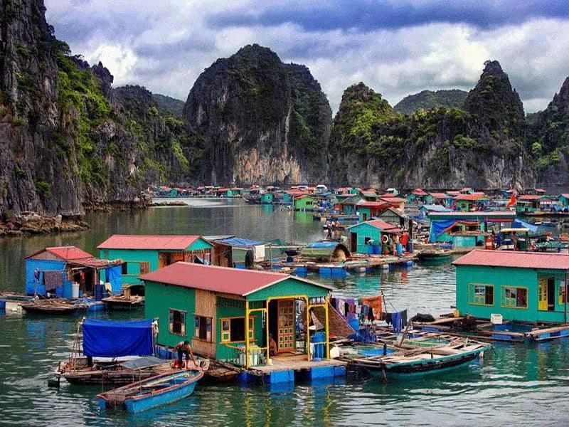 3D2N Cat Ba : LAN HA BAY ( half day) - VIET HAI VILLAGE - CATBA NATIONAL PARK