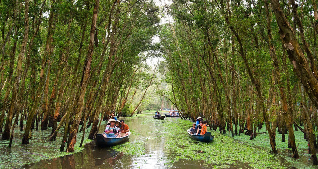 7D6N Rail Experience: DA NANG - HOI AN - NHA TRANG - HO CHI MINH