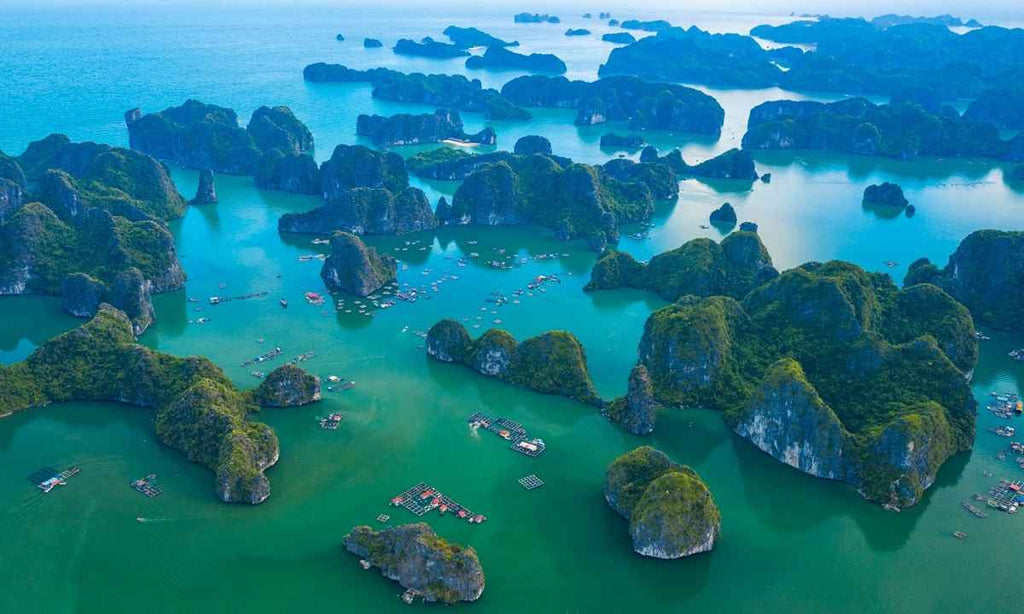 12D11N Rail Experience: HA NOI-HALONG BAY-NINH BINH-DA NANG-HOI AN-NHA TRANG-HO CHI MINH CITY