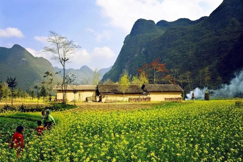 3D3N - HA GIANG LOOP TOUR