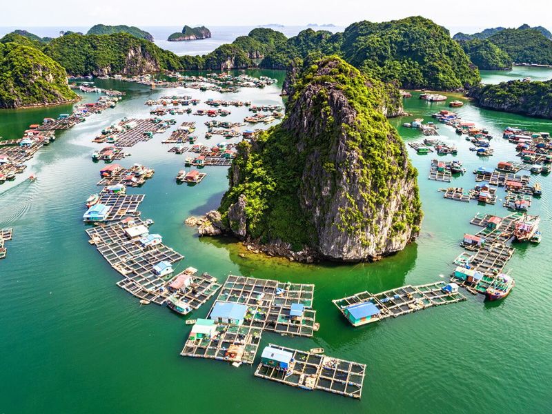 3D2N Cat Ba : LAN HA BAY ( half day) - VIET HAI VILLAGE - CATBA NATIONAL PARK