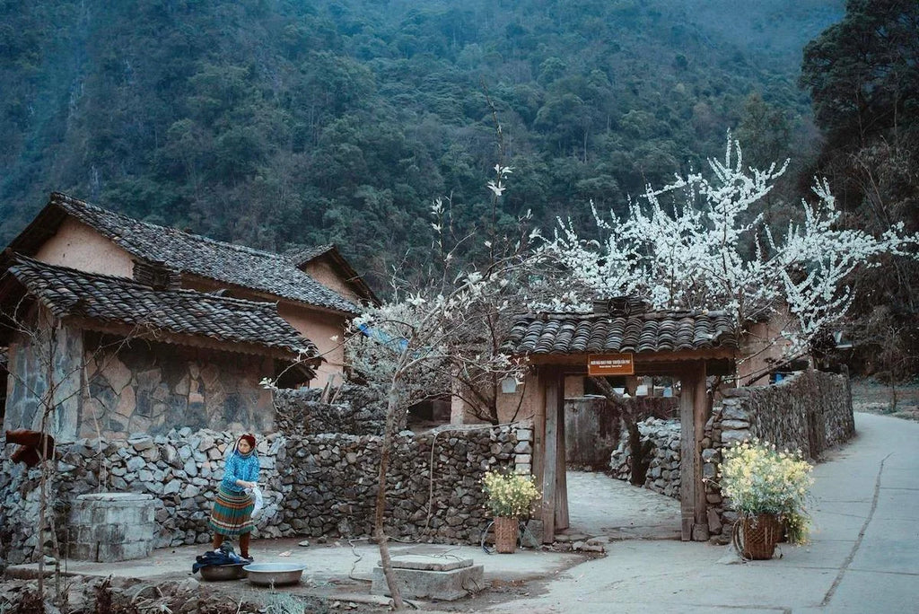 3D3N - HA GIANG LOOP TOUR
