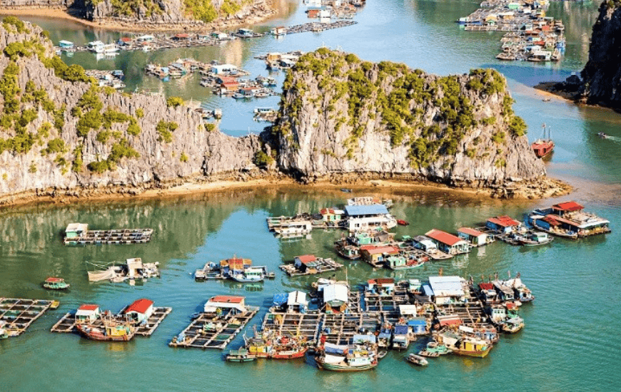 3D2N Cat Ba : LAN HA BAY ( half day) - VIET HAI VILLAGE - CATBA NATIONAL PARK