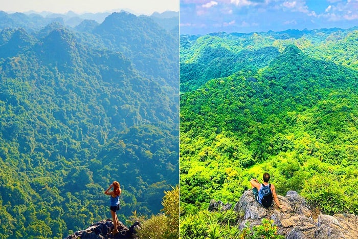 3D2N Cat Ba : LAN HA BAY ( half day) - VIET HAI VILLAGE - CATBA NATIONAL PARK
