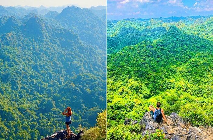 3D2N Cat Ba : LAN HA BAY ( half day) - VIET HAI VILLAGE - CATBA NATIONAL PARK