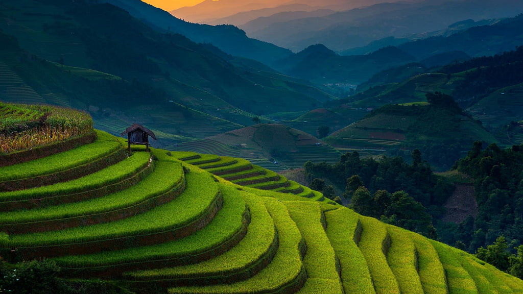 Mu Cang Chai & Halong Bay